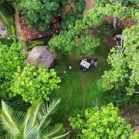 Eco Village Kalundewa Дамбулла Екстер'єр фото