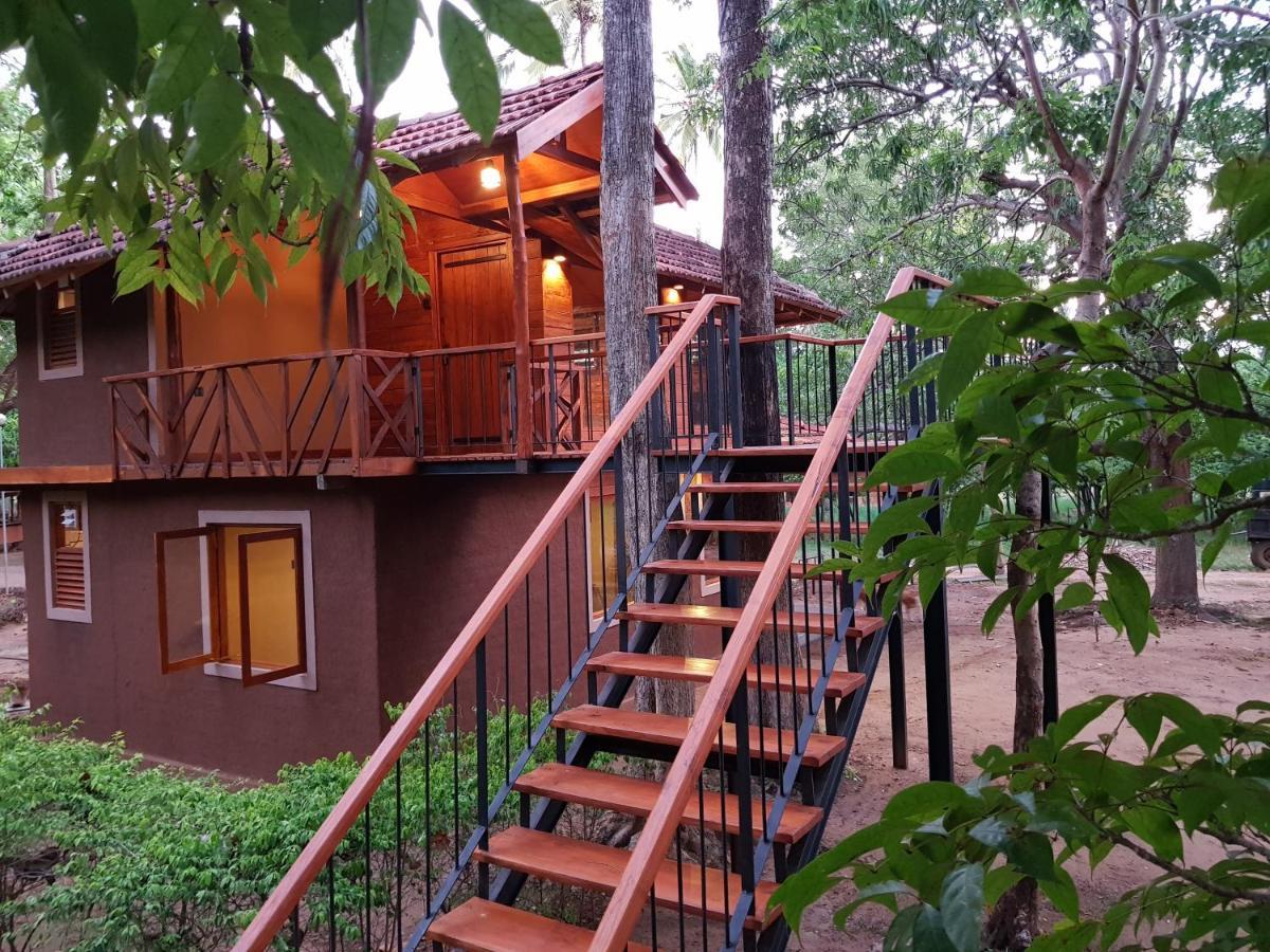 Eco Village Kalundewa Дамбулла Екстер'єр фото